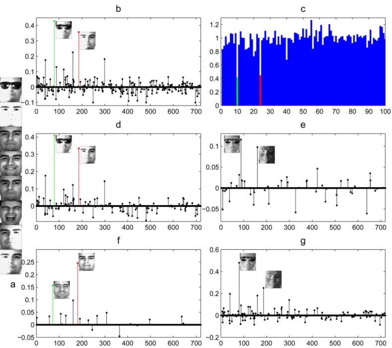 Fig 8. Example of the sparse representation of a query image with disguise (100 subjects)