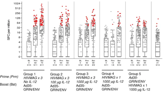 Fig 3. Total IFN-γ ELISPOT Response Rates and Magnitude. Responses at baseline (BL), 2 weeks after prime (Prm) and 2 weeks after boost (Bst) are shown