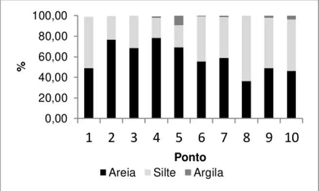 Figura 7: Curvas Granulométricas. 