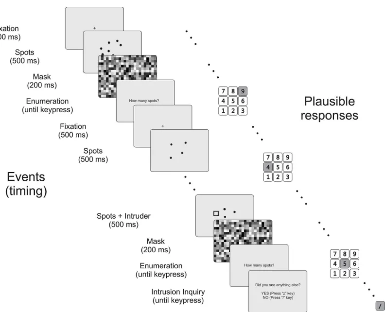 Fig 2. Sample trial sequence with two tasks. Enumeration (primary task) and reporting a shape appearing in addition to the spots (secondary task).