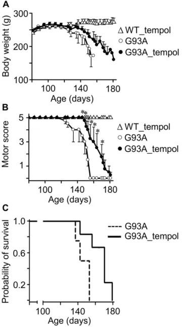 Figure 8. Effects of i.p. tempol on ALS progression in G93A rats. A) The body weight loss in G93A rats untreated (n = 8) and treated (n = 15) with tempol; wild-type rats treated with tempol (n = 8) exhibited similar behavior to those not treated (not shown