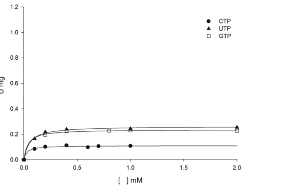 Table 2. Apparent kinetic parameters for MtPRS reaction.
