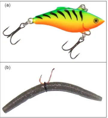 Fig 1. Lure types consisting of crank baits (a) and ‘wacky-rigged’ soft plastic baits (b) used to catch largemouth bass and rock bass in the wild