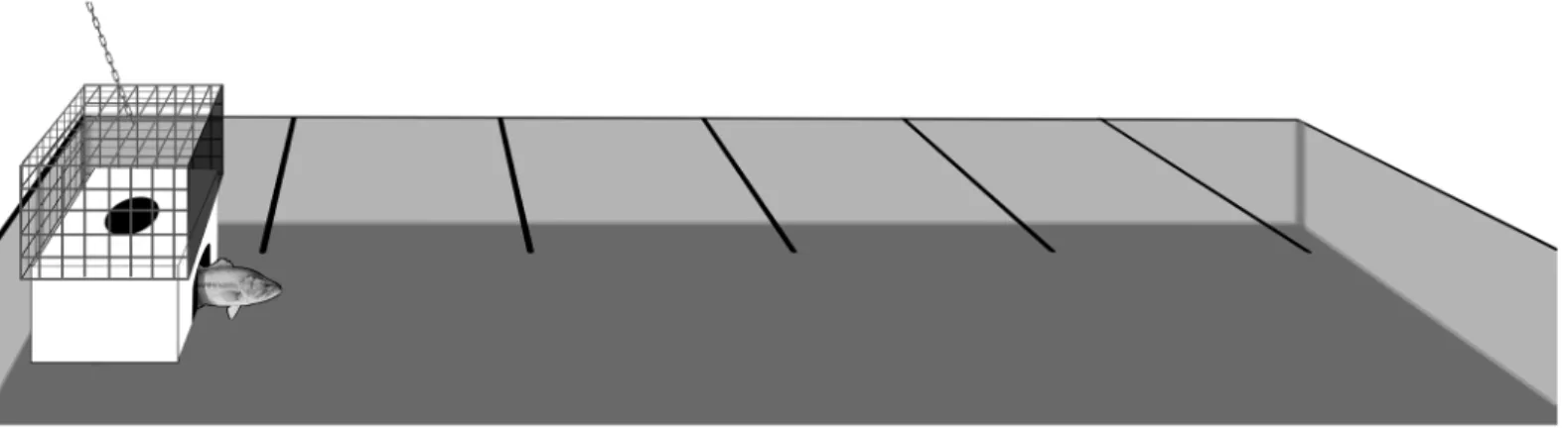 Fig 2. Schematic representation of the in-lake experimental arena tank used to quantify aspects of largemouth bass and rock bass personality including refuge emergence time, flight-initiation-distance, general activity and latency-to-recapture with a net.