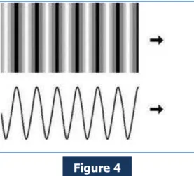 Illustration of a longitudinal compression wave (top) and transverse wave (bottom). 