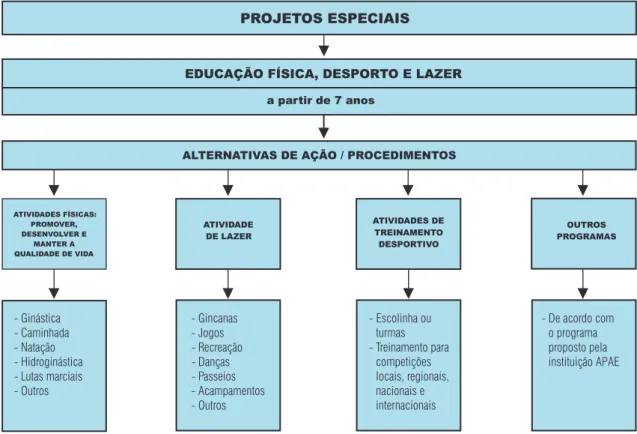 Figura 3  Estrutura da Proposta Educação Física, Desporto e Lazer  Projetos Especiais Os programas de Educação Física, Desporto e Lazer compreendem as ações abaixo descritas: