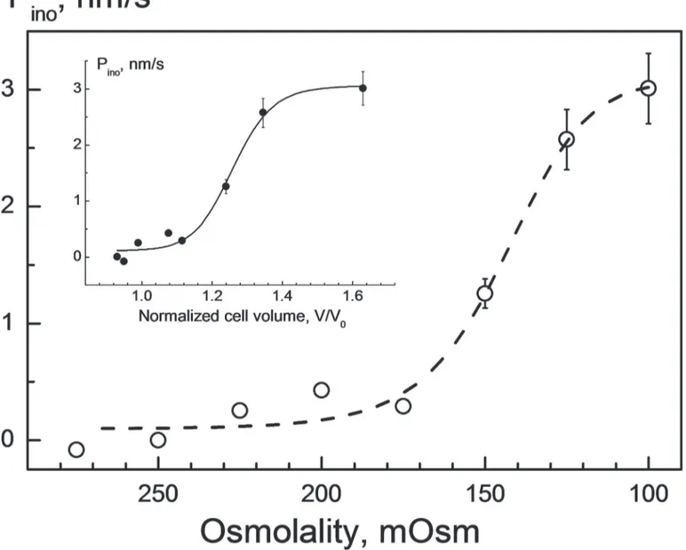 Fig 3. Impact of hypotonicity on the myo-inositol permeability P ino in HEK293 cells. The P ino values were calculated using Eq