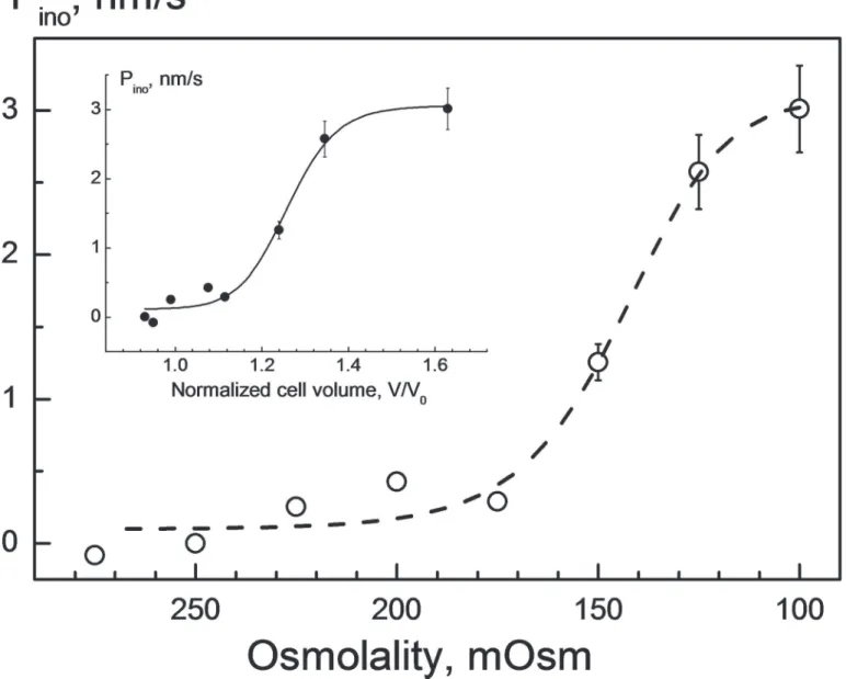 Fig 3. Impact of hypotonicity on the myo-inositol permeability P ino in HEK293 cells. The P ino values were calculated using Eq