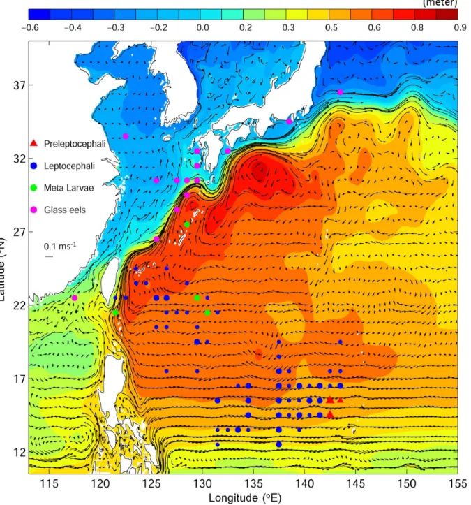 Fig 2. Vertically averaged ocean currents (vectors) in the top 300 m and time-mean sea surface height (m, image) over the 20-year period (1993–