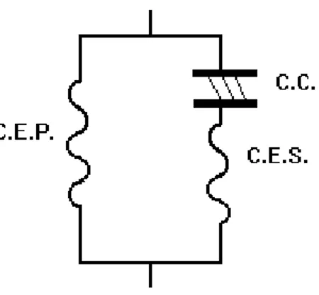 Figura  2.  Modelo  mecânico  da  fibra  muscular,  onde  C.E.P.  =  Componente  Elástico Paralelo; C.E.S