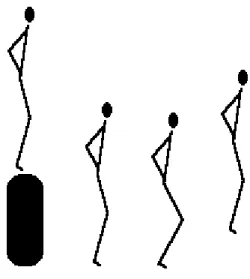 Figura 3. Salto em Profundidade (BDJ).