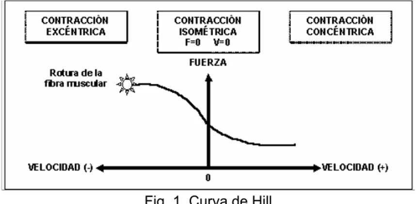 Fig. 1. Curva de Hill 