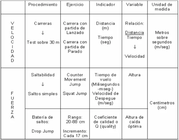 Cuadro 2. Principales variables 