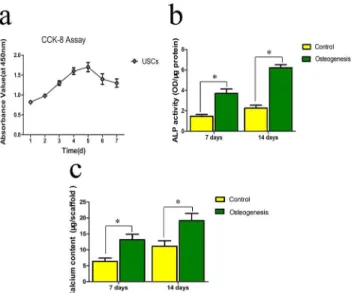 Fig 4. Proliferation of USCs on a β-TCP was determined using the CCK-8 assay on days 1, 2, 3, 4, 5, 6, and 7 (a)