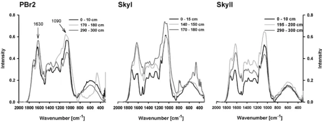 Fig. 3. FTIR-spectra of peat samples from the three bogs in different depths. Chosen samples represent upper, less decomposed peat (0–10 cm), deeper, highly decomposed peat and samples influenced by ash layer or underlying sediment (Pbr2 170–180 cm and Sky