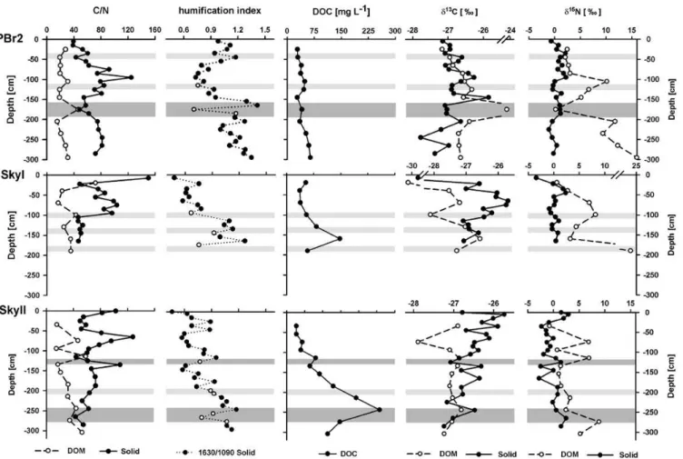 Fig. 4. C/N ratios of solid peat and DOM, FTIR derived humification indices (ratios of absorption at wavenumbers 1630/1090), DOC concentrations, δ 13 C and δ 15 N of solid peat and DOM at the sites PBr2 (top), SkyI (middle), and SkyII (bottom)