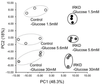 Figure 3. Comparison of the metabolic profile of control and IRKD aTC1-6 cells, as determined by CE-TOFMS