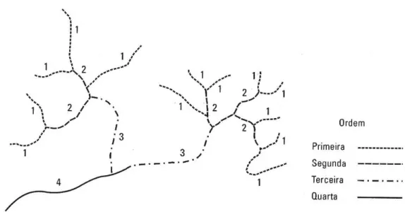 Fig. 01: Hierarquia da rede segundo Horton. 