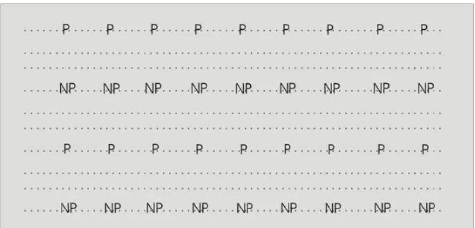 Figura 3: Esquema APPs-Saf simples; NP: não pioneiras, P: pioneiras, ..: 