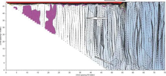 Fig. 11. Vertical cross-section of simulated temperature and velocity fields for heating from the surface of an initially homogeneous layer (depth 50 m, length 4 km, width 10 km) from T &lt;Tmd