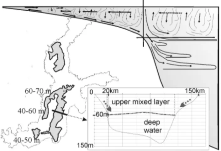 Fig. 1. Map of the Baltic Sea, showing the regions (in dark), where winter vertical convection does not reach bottom (numbers show the maximum depth of the upper mixed layer, (HH92)