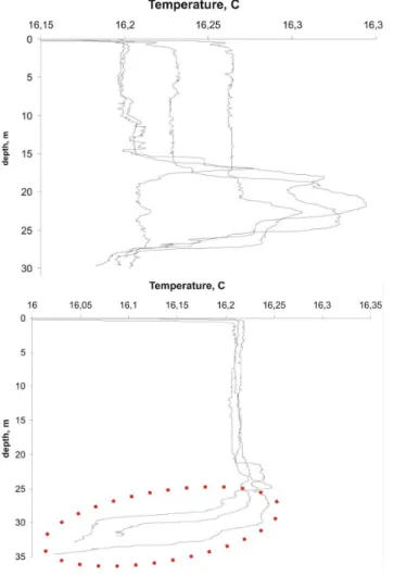 Fig. 8. Vertical profile at St. 19: temperature (red line), salin- salin-ity (blue) and in situ denssalin-ity anomaly (black); the axes have the  cor-responding colours