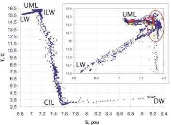 Fig. 9. TS representation of the field measurement data, showing water of lagoon origin (LW), water of the upper mixed layer (UML), water of the newly forming intermediate layer (ILW), the remainder of the CIL of the past year and deep Baltic water (DW)