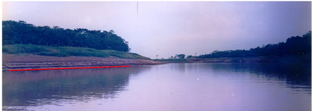 Figura 09: Solo de Várzea – baixo Amazonas – São Sebastião do Uatumã. 