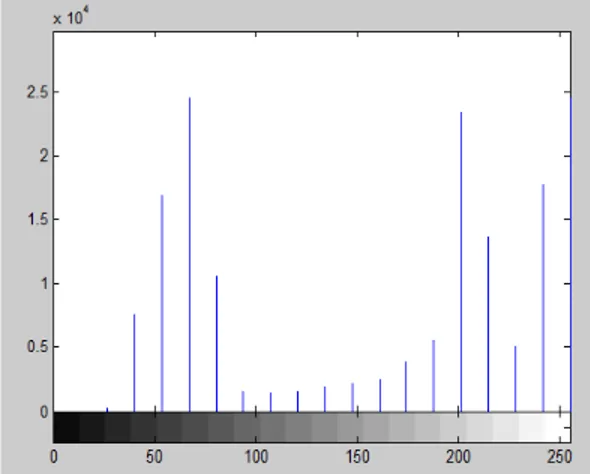Fig.  6  shows  an  example  of  intensity  histogram  with  20  bins.  The  real  values  as  follows:  0,             0, 322, 7696, 17057, 24685, 10739, 1638, 1533, 1651, 1982, 2329, 2582,  4010, 5574,        23558,  13704, 5143, 17886 and  24661