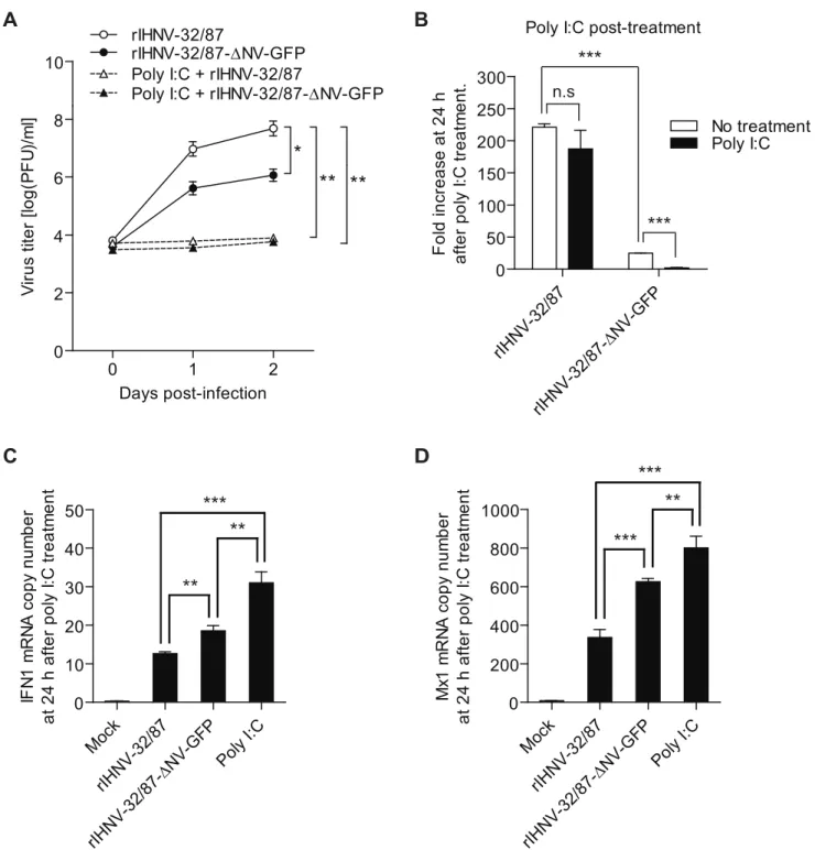 Figure 6. Requirement of NV for inhibition of poly I:C-induced IFN response in RTG-2 cells