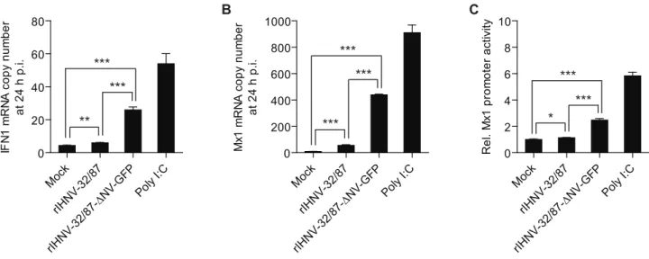 Figure 7. Requirement of NV for inhibition of IFN systems in IHNV-infected RTG-2 cells