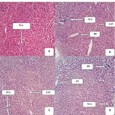 Figure 2 Weight of mice before, after inoculation and after extract treatment  Biochemical Assay 