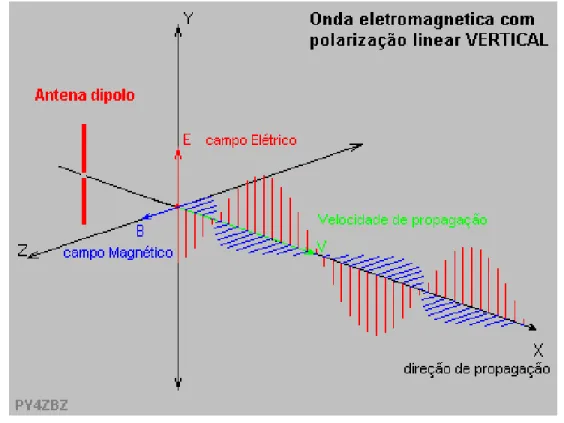 Fig. I.5  – Polarização Vertical