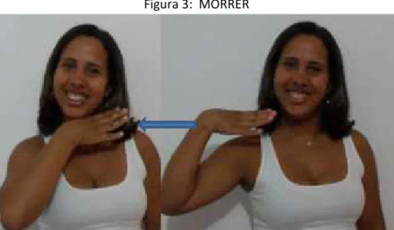 Figura 3:  MORRER