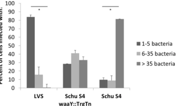 Fig 3. Scoring of growth patterns observed in confocal imaging. Infected cells were classified into three separate categories based on the amount of bacteria each cell contained at 24 hpi