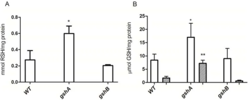 Figure 1. Total RSH and GSH content in E. coli overexpressing GSH biosynthesis genes. Cellular RSH (after 4 h IPTG induction, A) and GSH levels (B) after 4 h (white) or 16 h (striped) IPTG induction were determined in E