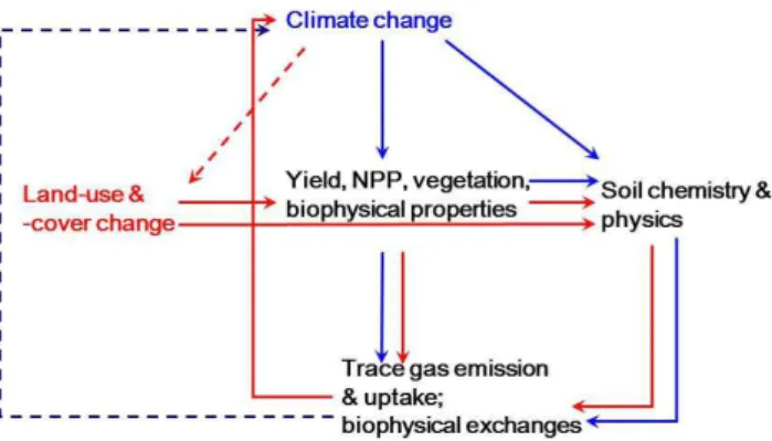 Fig. 3. Conceptual interactions of LULCC–climate impacts and feedbacks. Solid lines: impacts; dashed lines: feedbacks