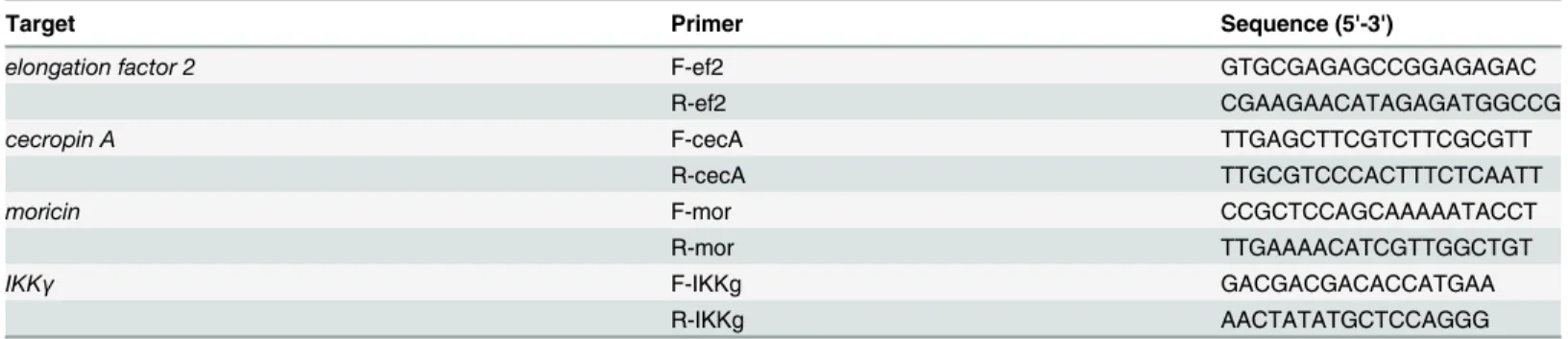 Table 1. Primers used in this study.