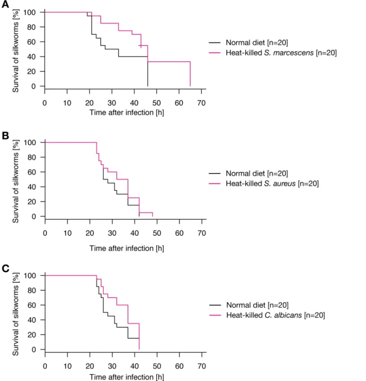 Fig 2. Resistance of silkworms orally administered with heat-killed cells of various microorganisms against P
