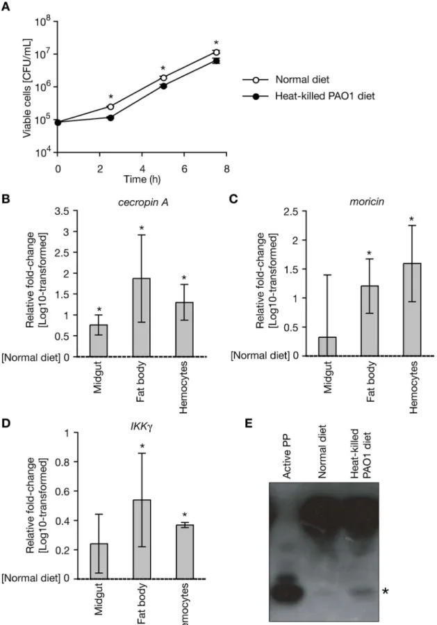 Fig 5. Activation of systemic immunity in silkworms by oral administration of heat-killed P