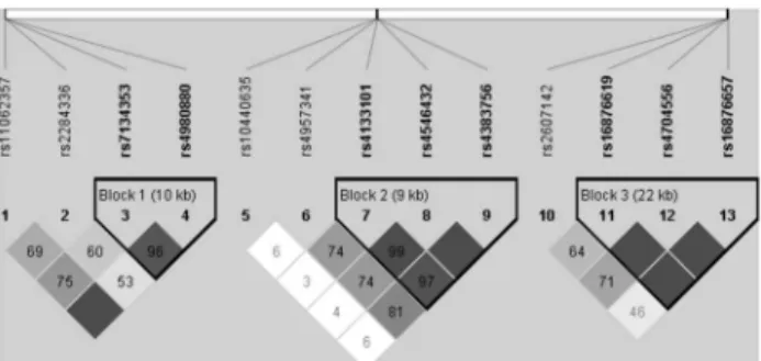 Figure 2.  Linkage disequilibrium (LD) map comparing all AS  patients  and  controls.      Darker  color  indicates  higher linkage  disequilibrium  (LD),  lighter  color  indicates  less  LD.