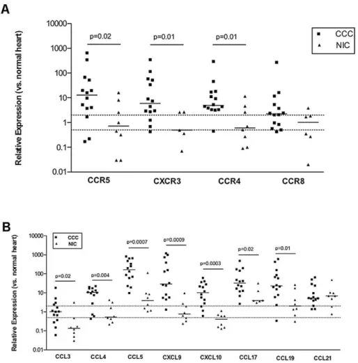 Figure 1. Histopathological analysis and localization of CCR5 + , CXCR3 + , CCR4 + , CCL5 + and CXCL9 + cells in heart tissue