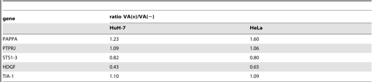 Table 1. Changes in expression levels of cellular genes in response to VA RNAs.