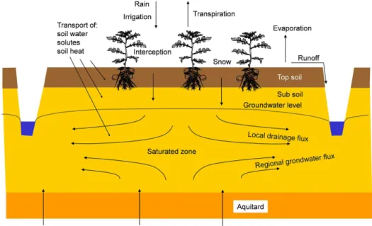 Figure 1. Transport processes and modelling domain of SWAP.