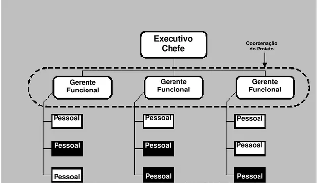 Figura 2-7. Organização Funcional 