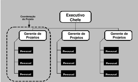 Figura 2-8. Organização Projetizada 