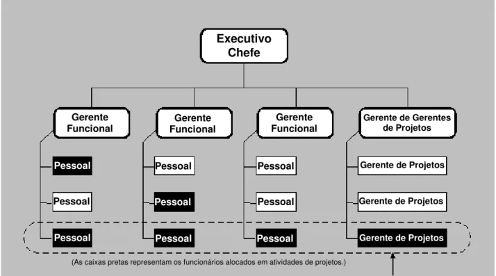 Figura 2-11. Organização Matricial Forte  Coordenação 