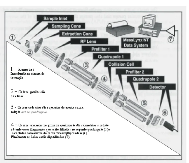 Figura ilustrativa dos componentes de um sistema de LC-MS