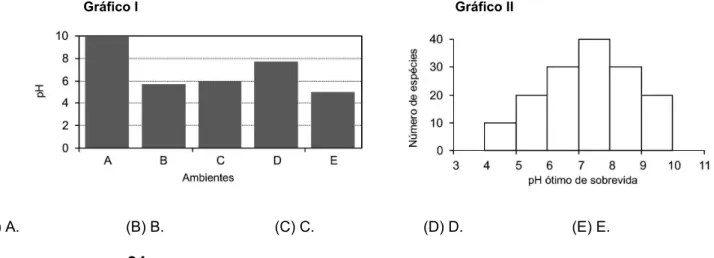 Gráfico I  Gráfico II 