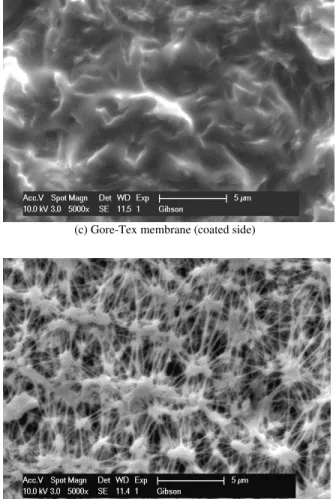 FIGURE 6.  Scanning electron microscope images of typical  membranes used in waterproof breathable fabric laminates